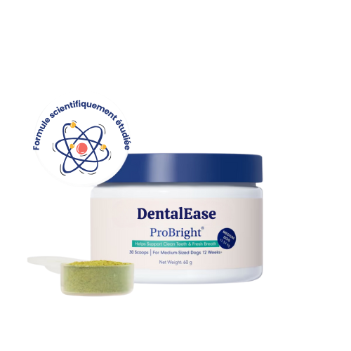 DentalEase® Dog Dental Care