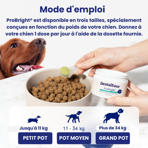 DentalEase® Dog Dental Care