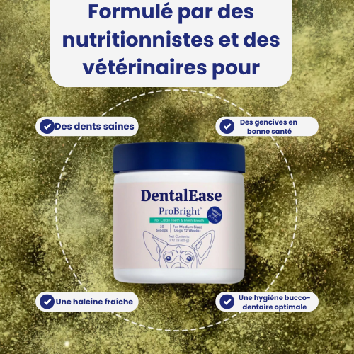 DentalEase® Dog Dental Care