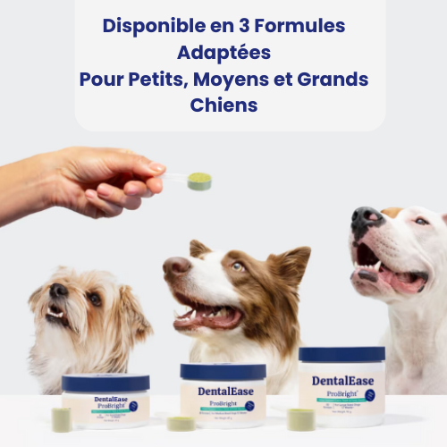 DentalEase® Dog Dental Care